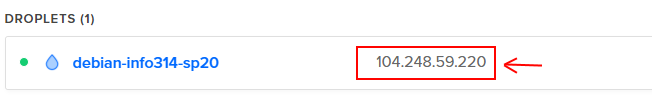 Digital Ocean server IP address